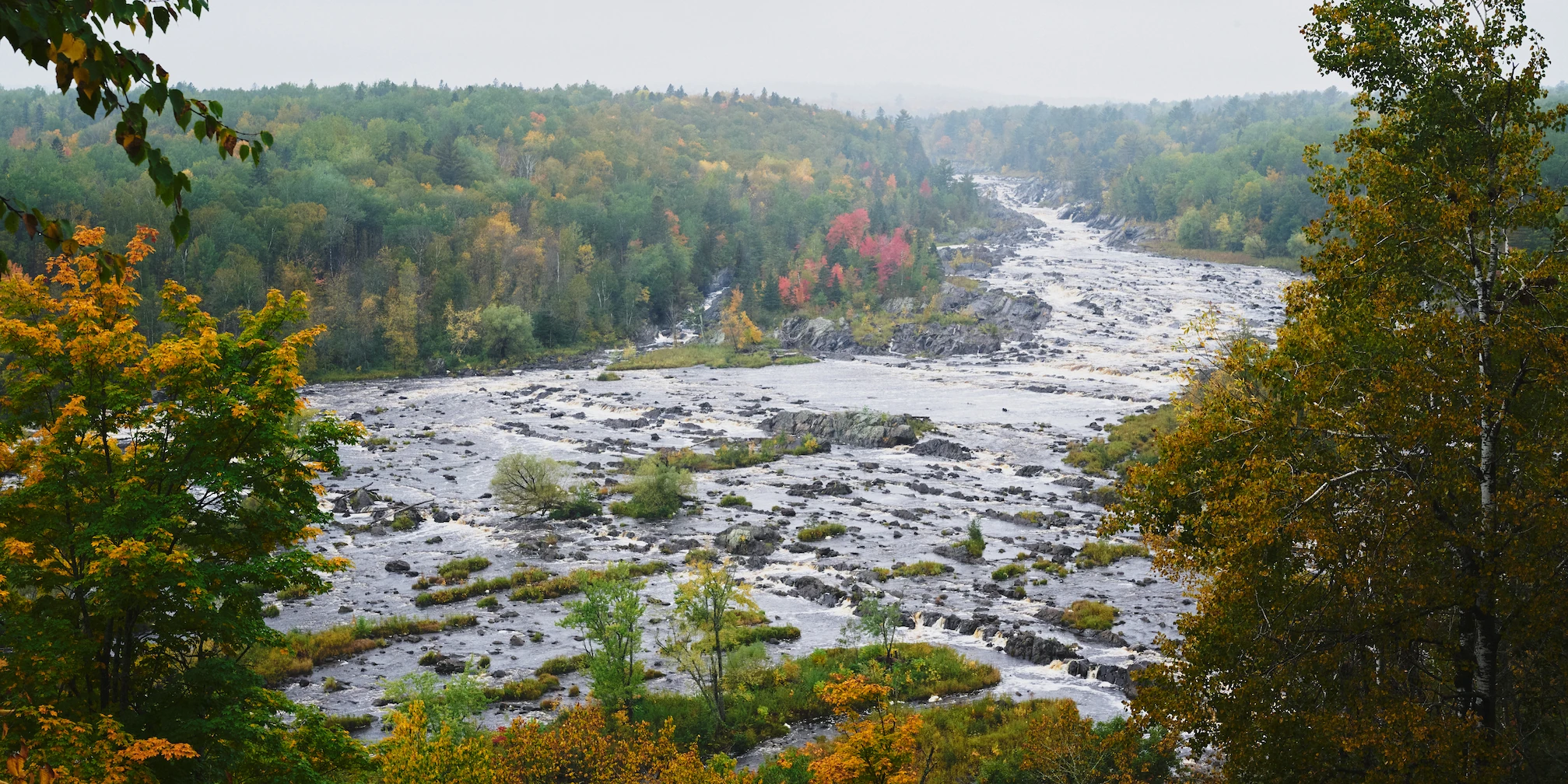 A river cuts through thick, autumn forest. Wide shot from above, with trees in the foreground.